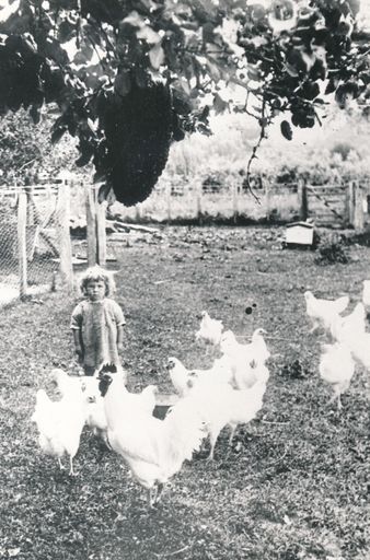 Wildbore Family Farm, c. 1900s