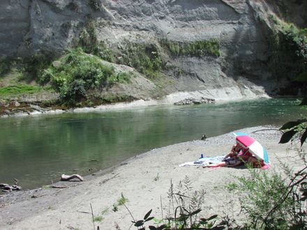 Page 2: Vinegar Hill Reserve