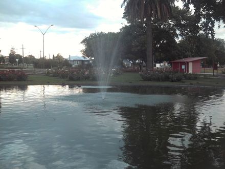 Kowhai Park Duck Pond