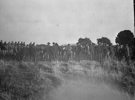 Sale of Horses by Hocken Bros