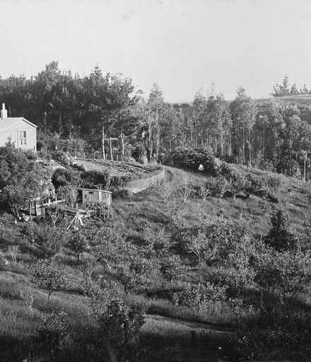 Halcombe Cottage, c. 1900's