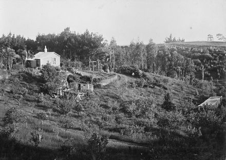 Halcombe Cottage, c. 1900's