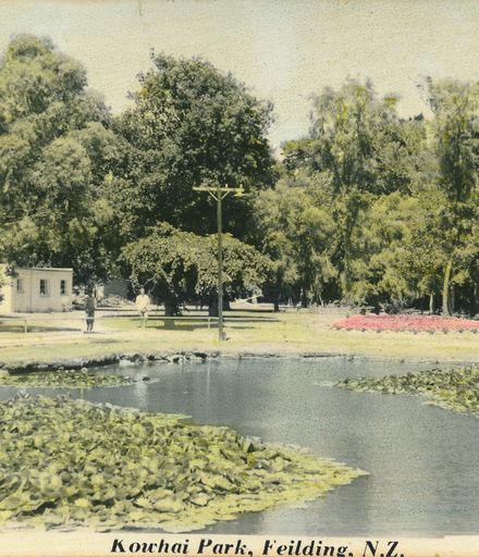Kowhai Park Postcards