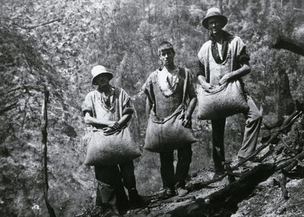 Sowing Grass Seed - Resource cover image