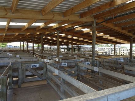 Rongotea Saleyards