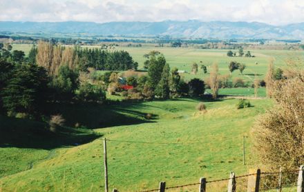 Colyton Road Colyton Road