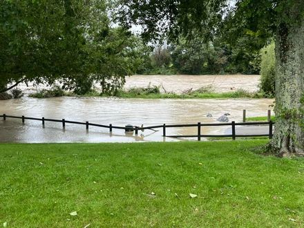 Timona Park, c. February 2023