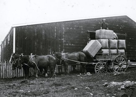 George Port with a Wagon of Wool Bales - Resource cover image