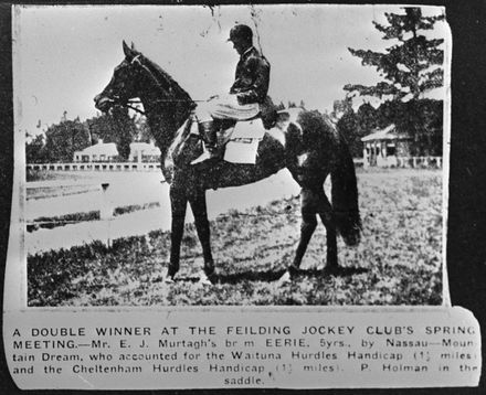 Double Winner at Feilding Jockey Club