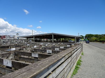 Page 6: Rongotea Saleyards
