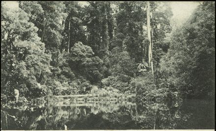 Apiti Lake - Resource cover image