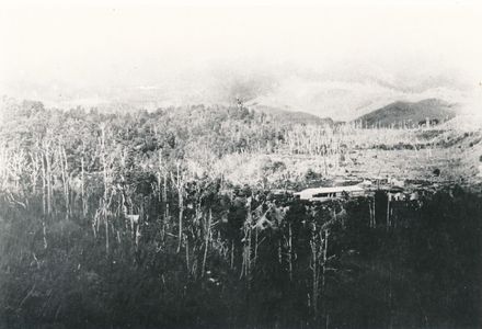 Umutoi Sawmill, c. 1910
