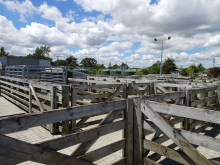 Page 2: Rongotea Saleyards