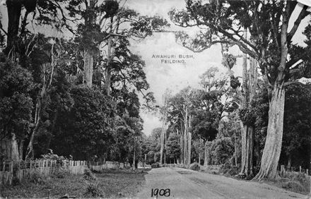 Awahuri Road : 91-12