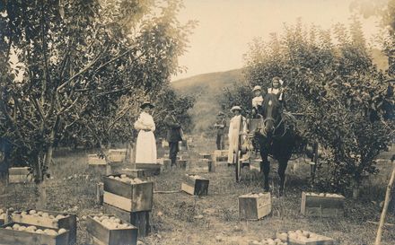 Page 2: Apple Orchard