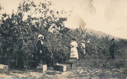 Page 4: Apple Orchard