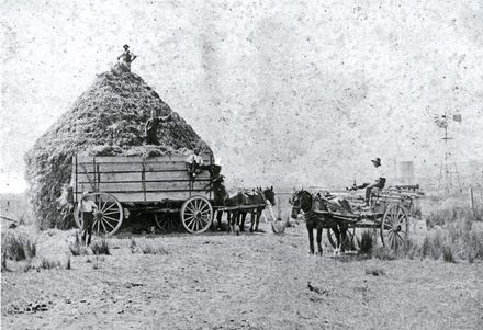 Haymaking on Dick MacDonald's Farm - Resource cover image