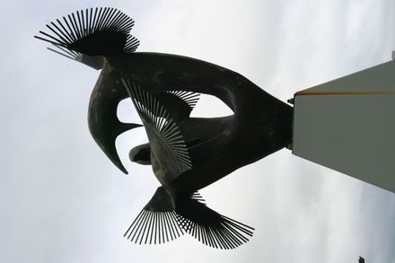 Squabbling Birds - Feilding Library