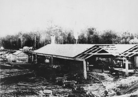 Adsett Sawmill, Colyton, 1890