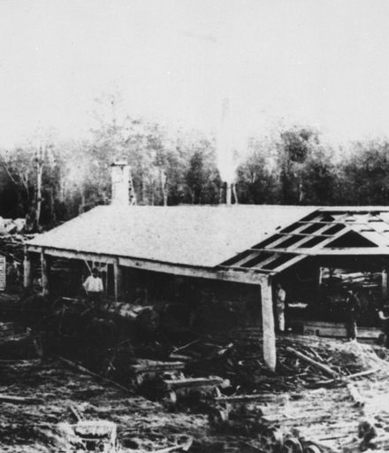 Adsett Sawmill, Colyton, 1890