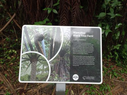 Page 7: Kitchener Park