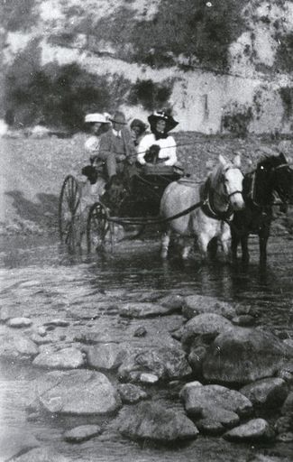 Buggy, Raumai - Resource cover image