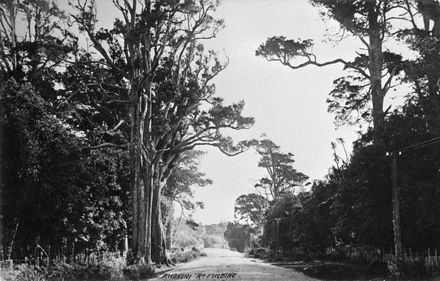 Awahuri Road : 91-11