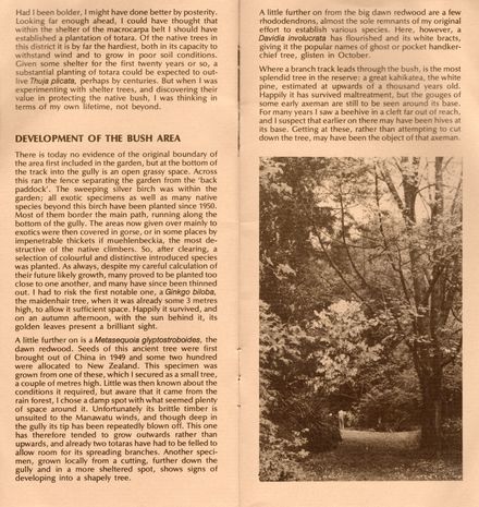 Page 6: Mount Lees Reserve Brochure