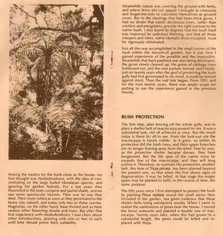 Page 5: Mount Lees Reserve Brochure