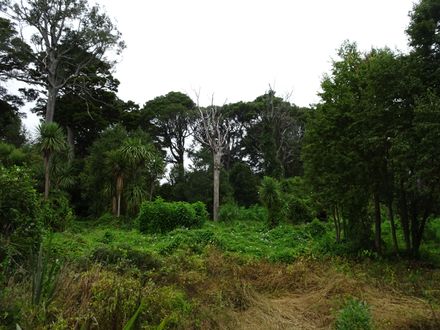 Page 3: Kitchener Park