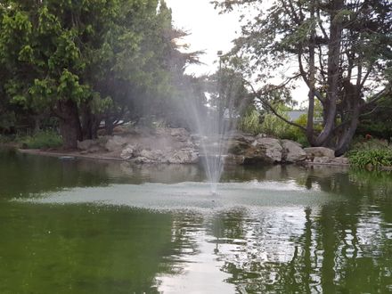 Kowhai Park Duck Pond