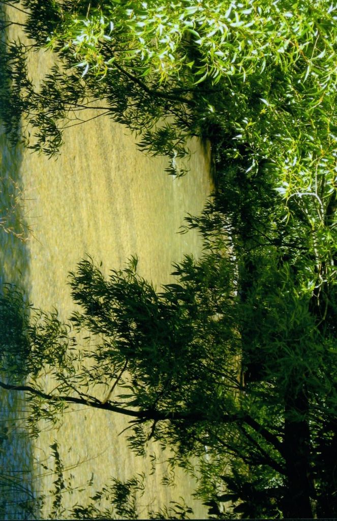 Page 2: Armadale Recreation Reserve