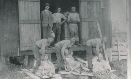 Shearers in Awahou North, c. 1904