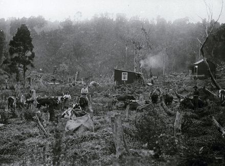 Dairy Farm - Resource cover image