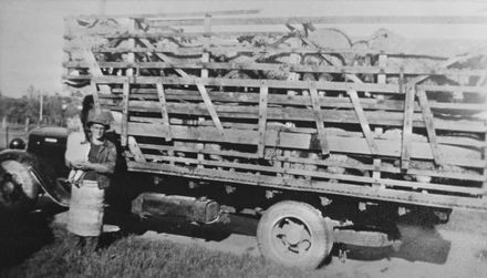 Sheeptruck : 48-5
