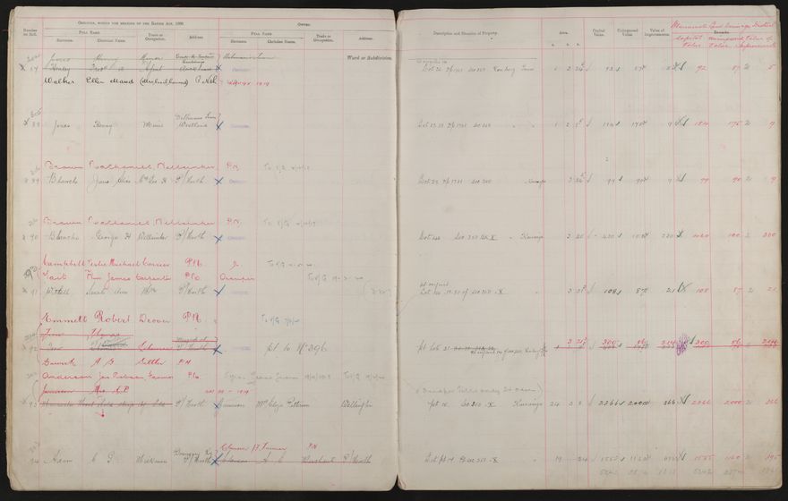 Valuation Roll, Taonui Riding - 2025Vol_PNCC-KCC-3-8-10-V3_043340-0017