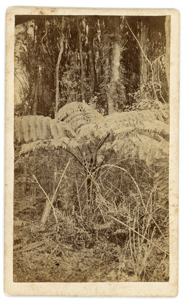 2026P_Monrad_S2_044244_008