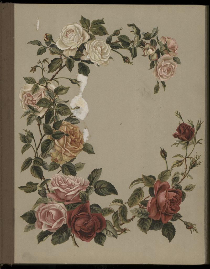 2020P_Monrad-S5V1_032984_002