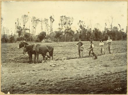 Monrad home, Karere - Resource cover image