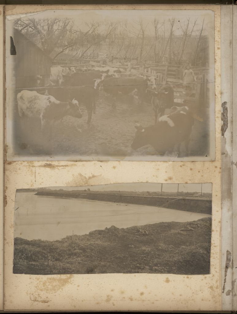 2020P_Monrad-S5V5_032987_026