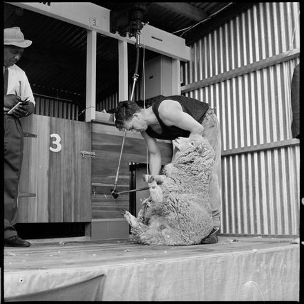 2018N_2017-20_MS000858a - Skilful Shearing