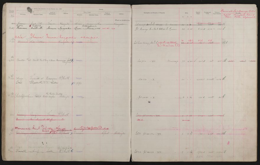 Valuation Roll, Taonui Riding - 2025Vol_PNCC-KCC-3-8-10-V3_043340-0050