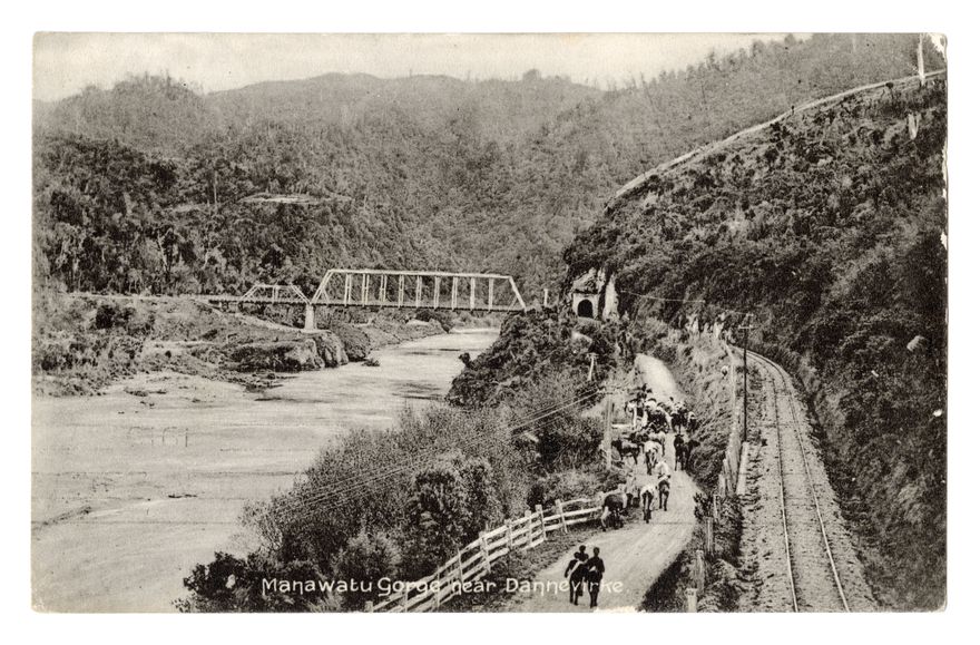 Postcard - Gorge near Dannevirke