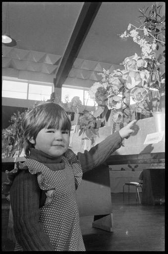 “Spring Time In Pahiatua” - Resource cover image