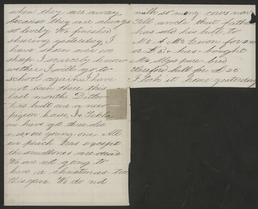 2020P_Monrad-S2_032966_002