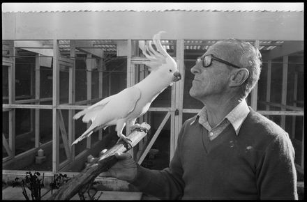 “Twenty Five Years At City Aviary – Retirement” - Resource cover image