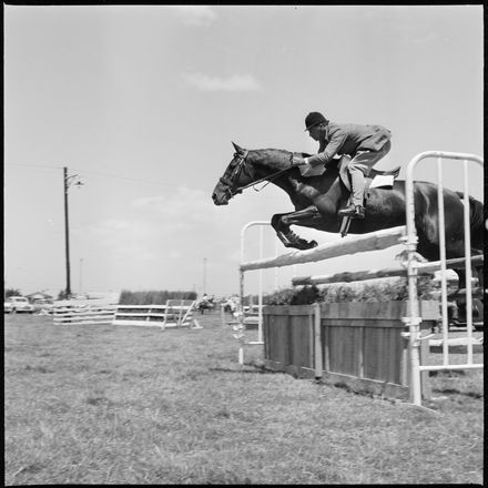 Skilful Showjumping