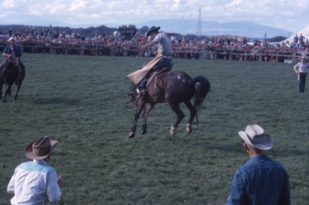 Linton Rodeo