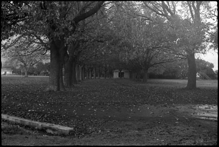 Unidentified Park