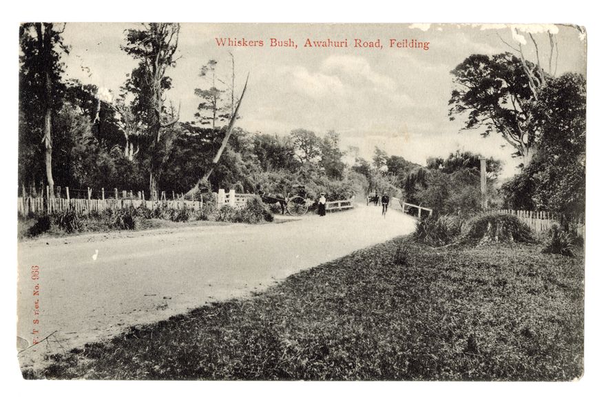Postcard - Whiskers Bush, Awahuri Road, Feilding